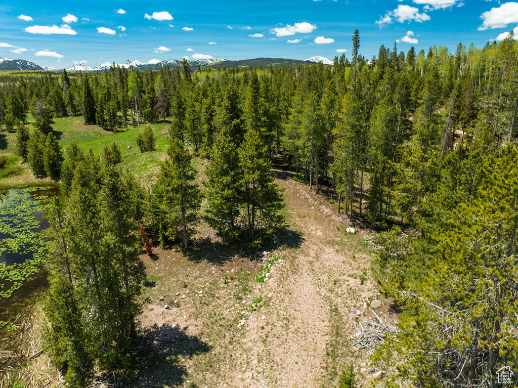 Drone / aerial view of a mountain backdrop and a heavily wooded area