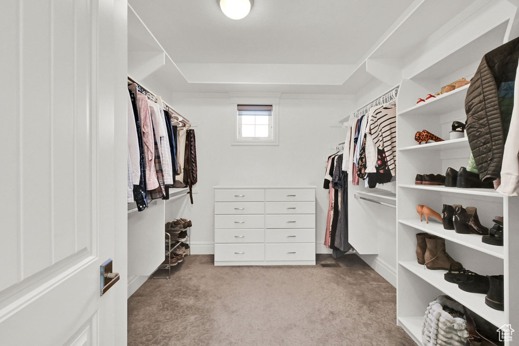Spacious closet featuring carpet floors