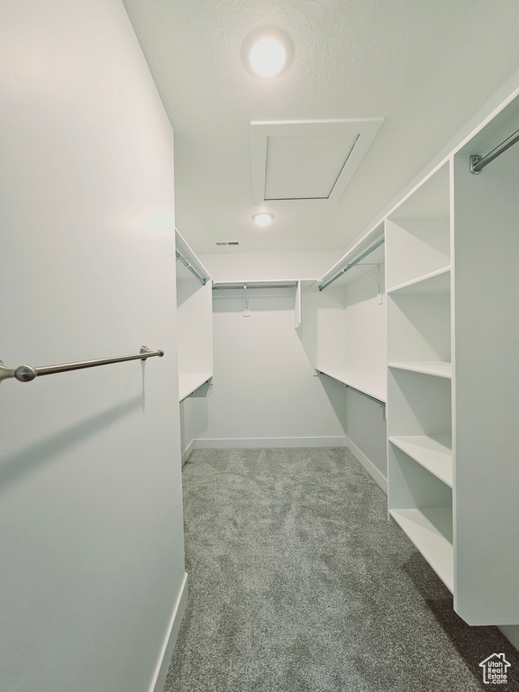 Spacious closet with carpet floors