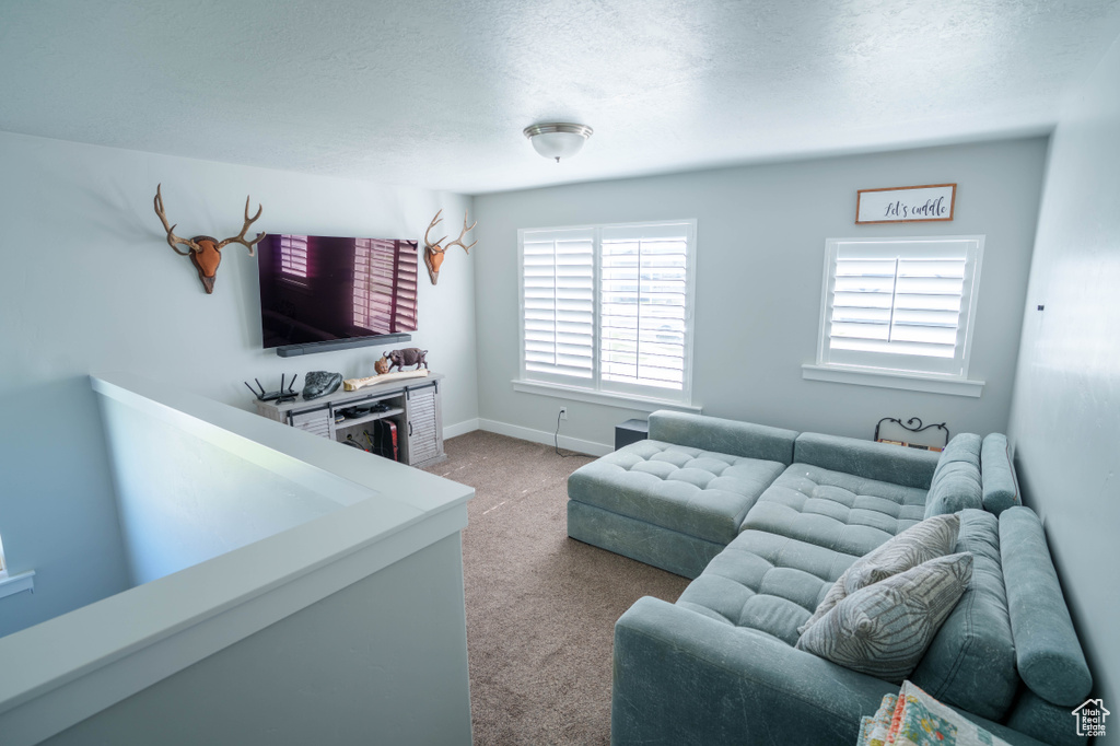Carpeted living room with a textured ceiling and baseboards