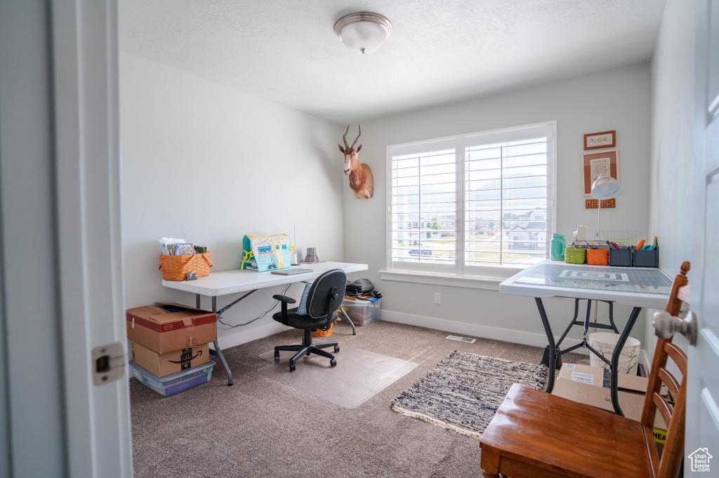 Carpeted home office with baseboards