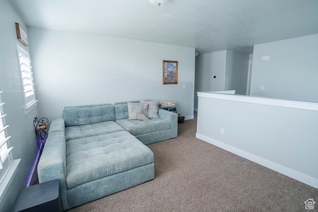 Living area with carpet and baseboards