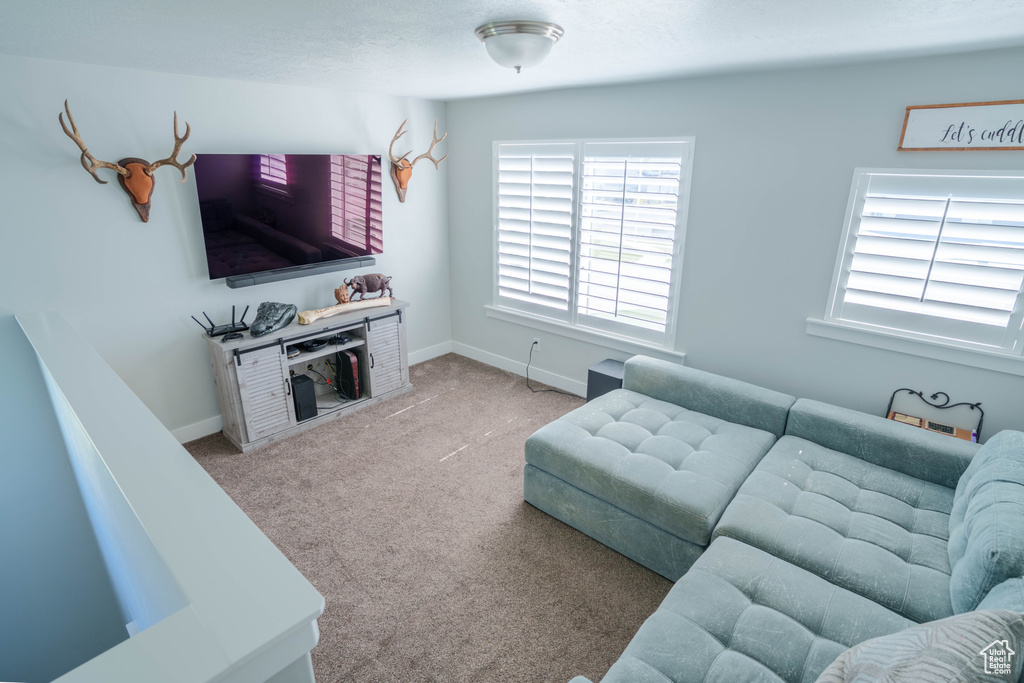 Carpeted living room featuring baseboards