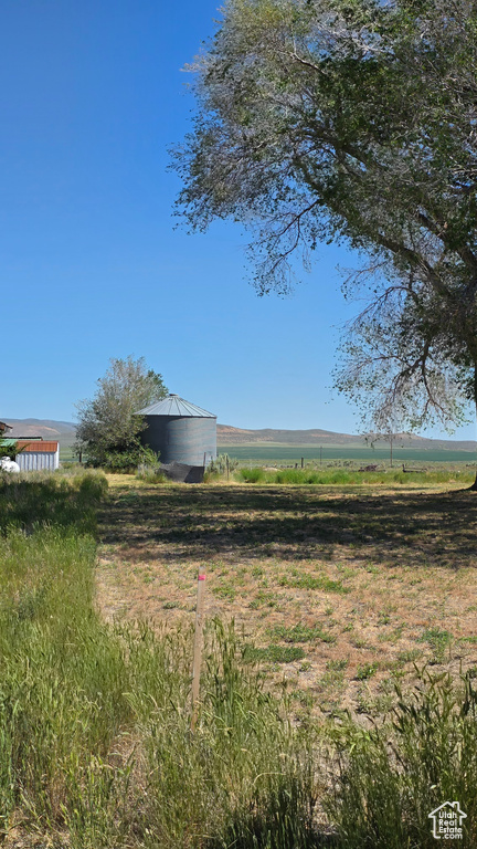 View of yard with a view of rural / pastoral area