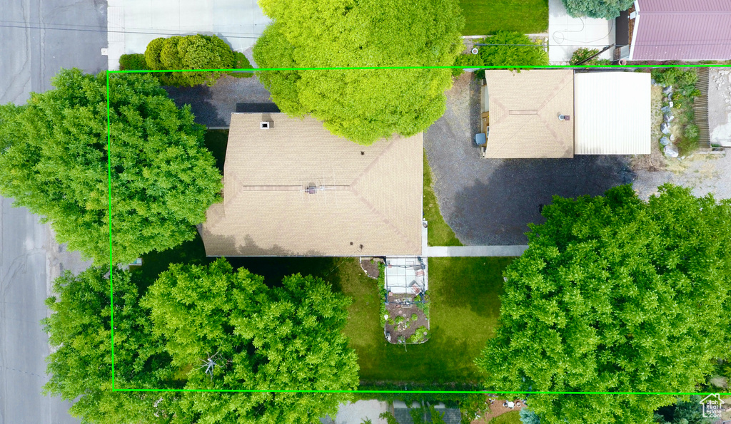 Bird\'s eye view