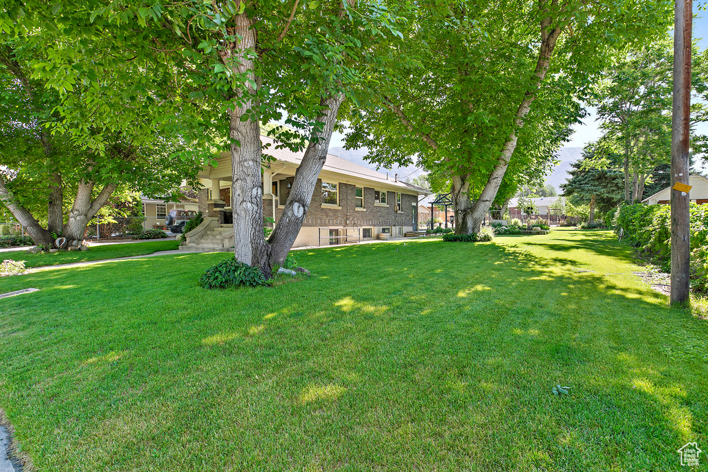 View of grassy yard