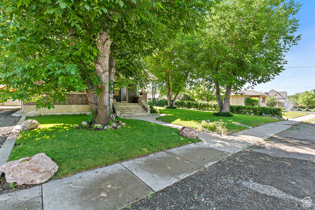 View of front of house featuring a front lawn