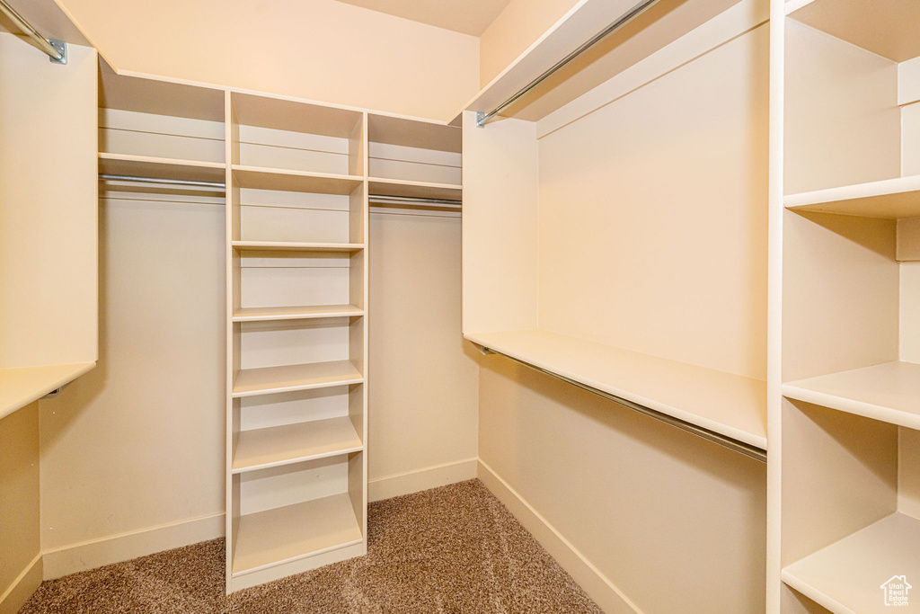 Spacious closet featuring carpet floors