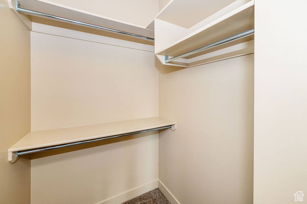 Spacious closet featuring carpet floors