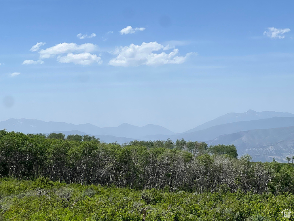 View of mountain background featuring a heavily wooded area