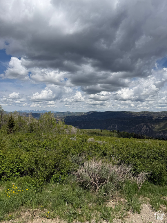 Mountain view