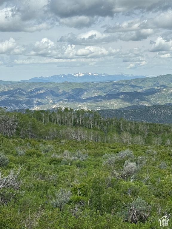 Mountain view