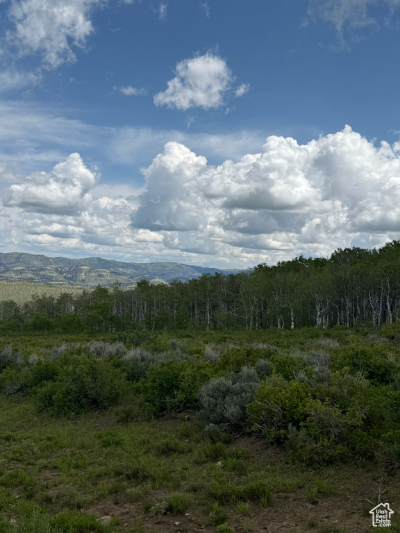 View of mountain background with a forest
