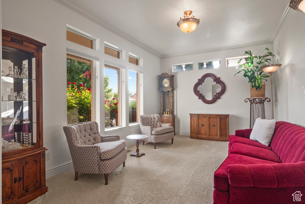 Carpeted living area with ornamental molding and baseboards