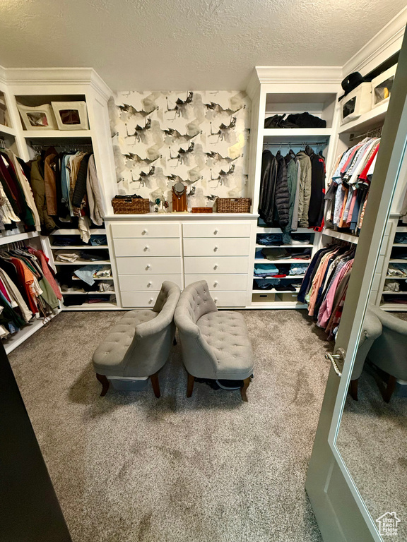Spacious closet with carpet floors