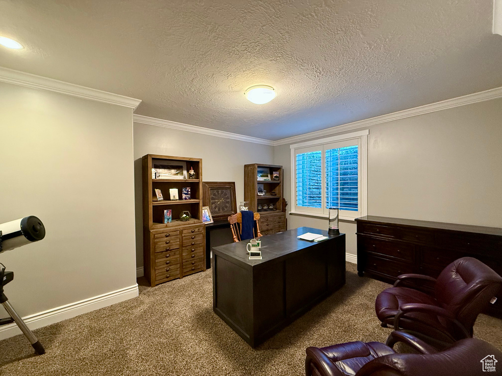 Carpeted office space featuring ornamental molding, a textured ceiling, and baseboards