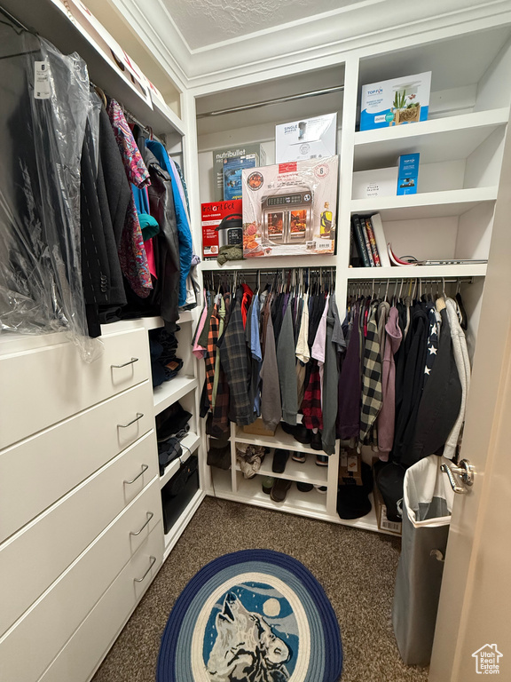 Spacious closet featuring carpet floors