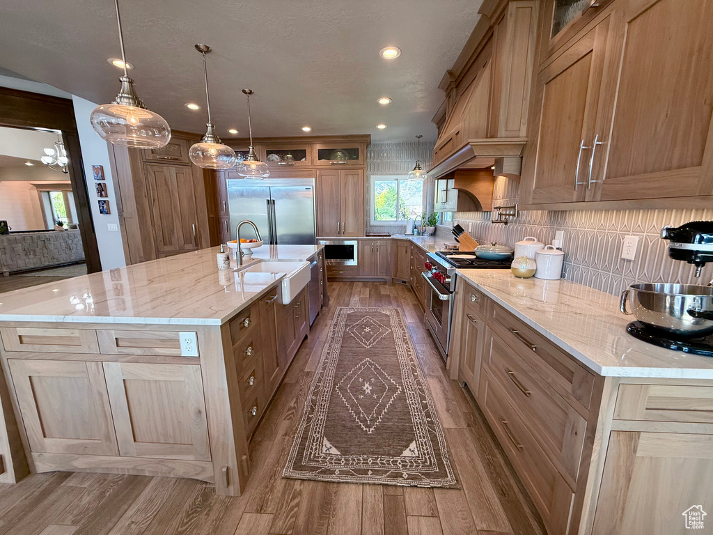 Kitchen with high quality appliances, wood finished floors, a sink, decorative backsplash, and glass insert cabinets