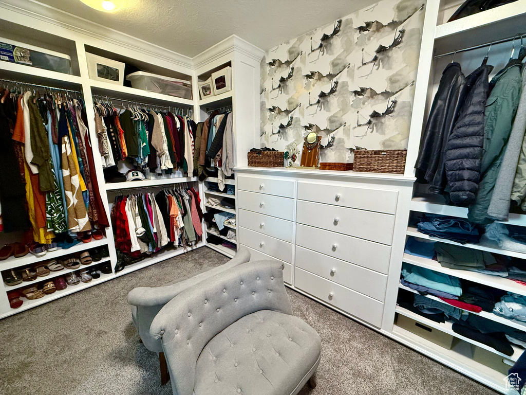 Walk in closet featuring carpet floors
