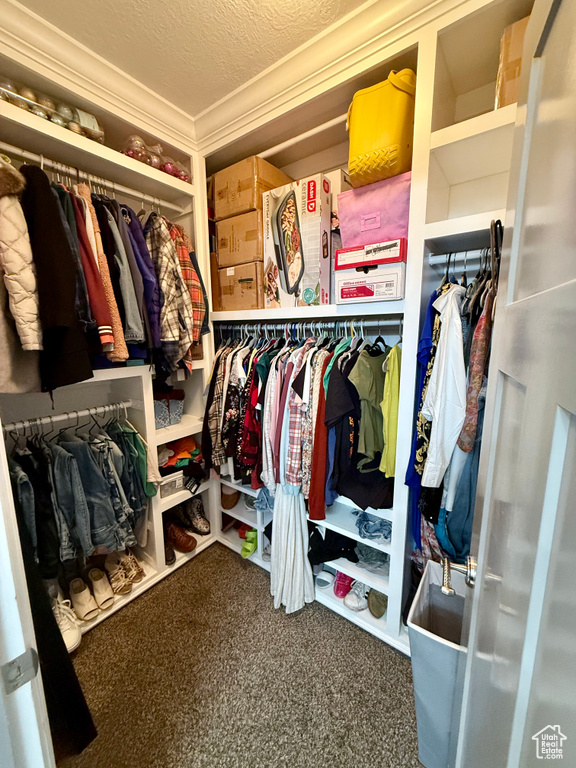 Walk in closet featuring carpet floors
