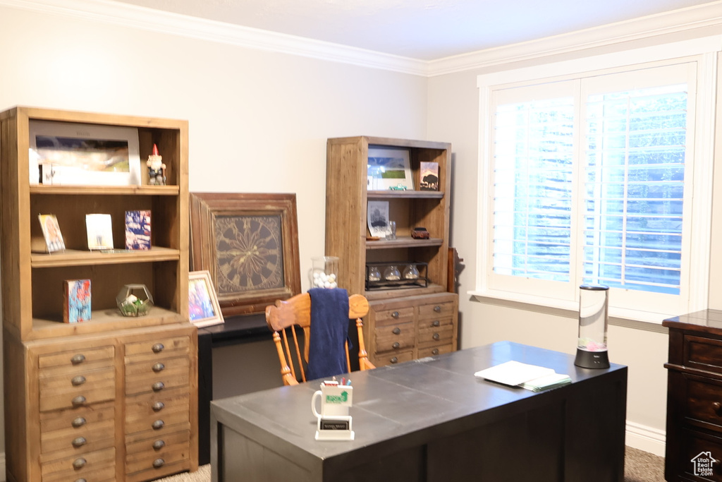Office space with ornamental molding and healthy amount of natural light