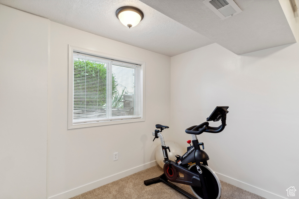 Exercise area with baseboards, a textured ceiling, and carpet floors