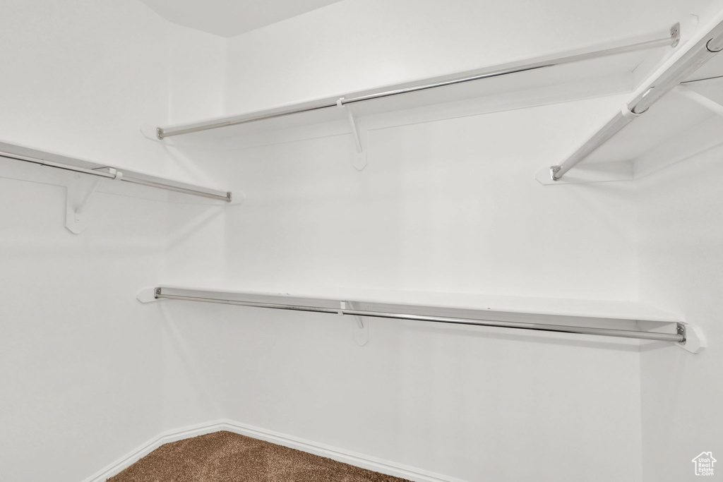 Walk in closet with carpet floors