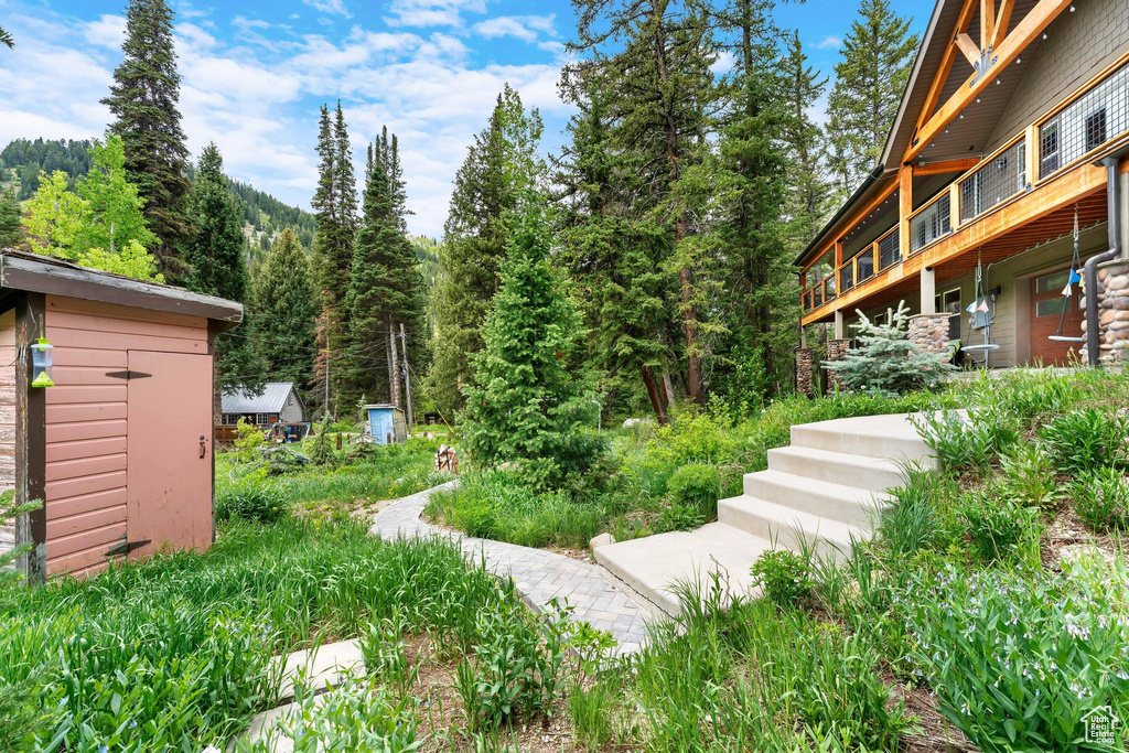 View of yard featuring a view of trees