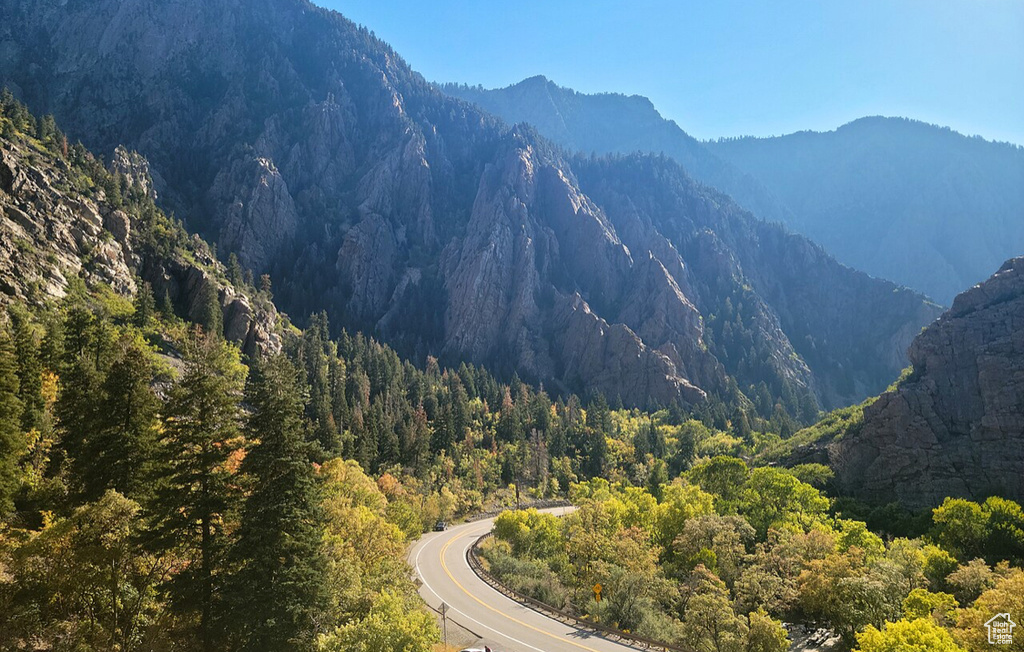 View of mountain background featuring a heavily wooded area