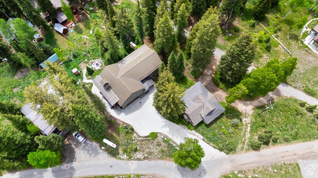 Bird\'s eye view