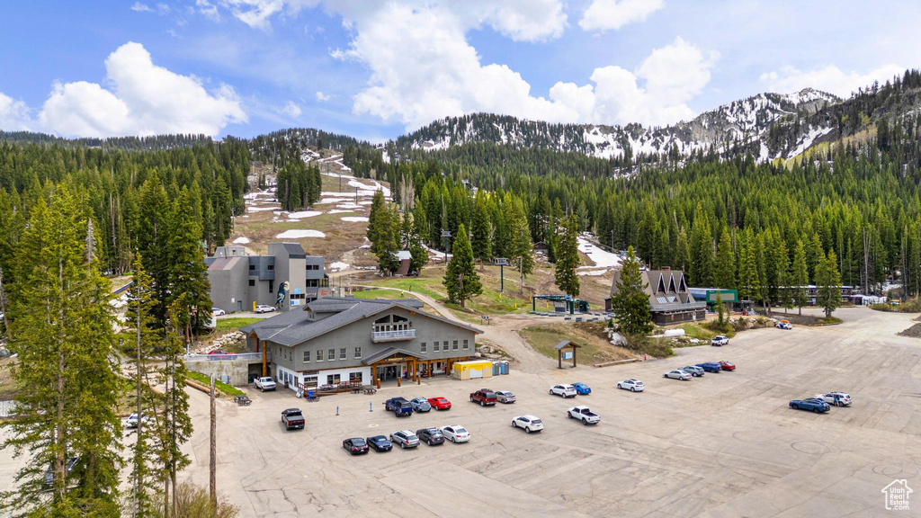 Bird\'s eye view of a mountain backdrop and a forest