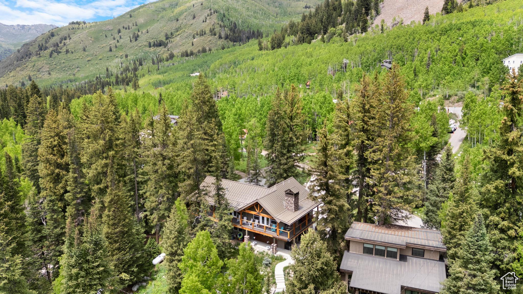 Aerial view of a heavily wooded area and a mountain backdrop