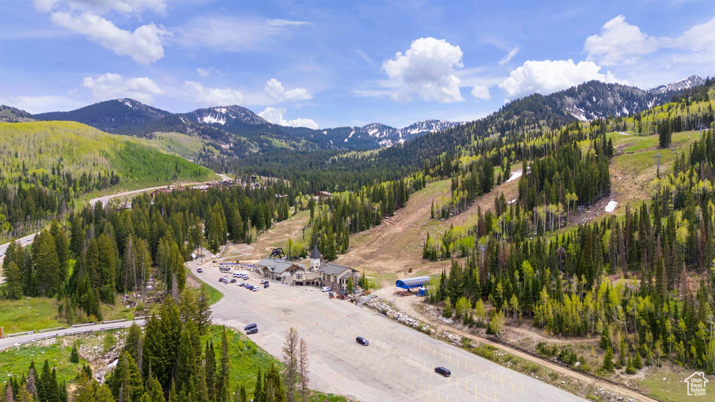 View of mountain backdrop featuring a forest