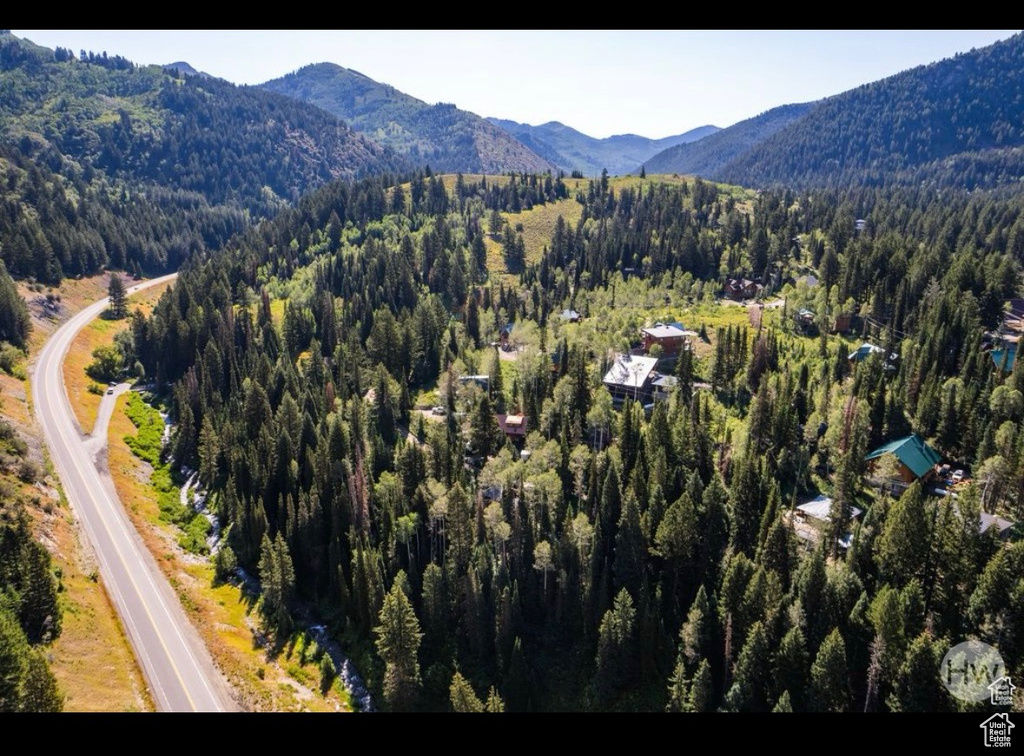 Aerial view of a forest and mountains