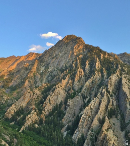 View of mountain background