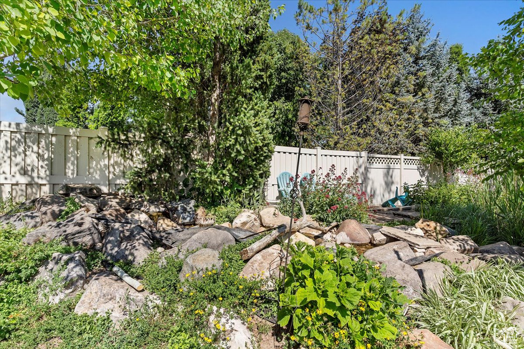 View of fenced backyard