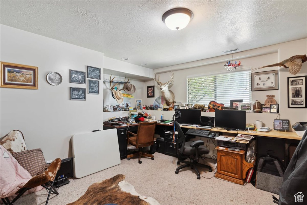 Home office with a textured ceiling