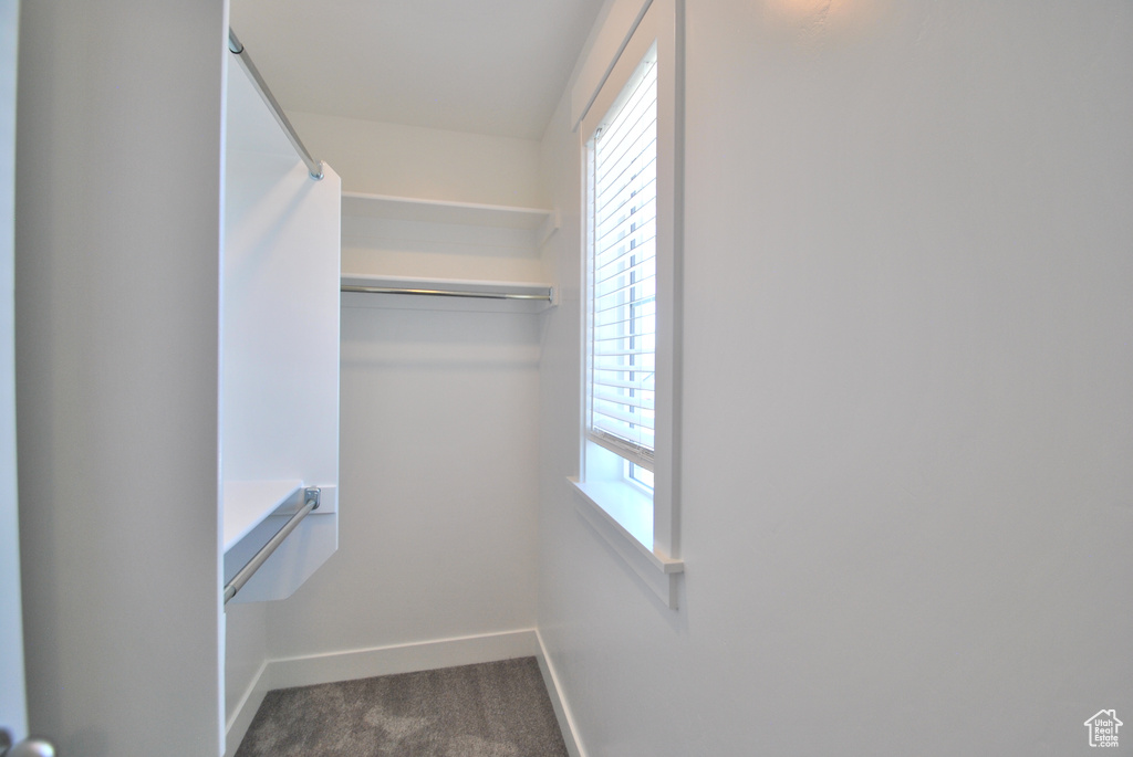 Spacious closet with dark carpet
