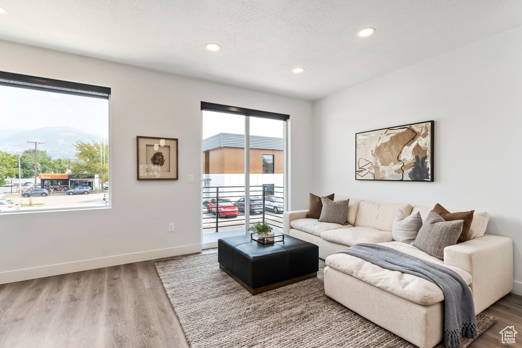 Living room with wood finished floors, recessed lighting, and baseboards