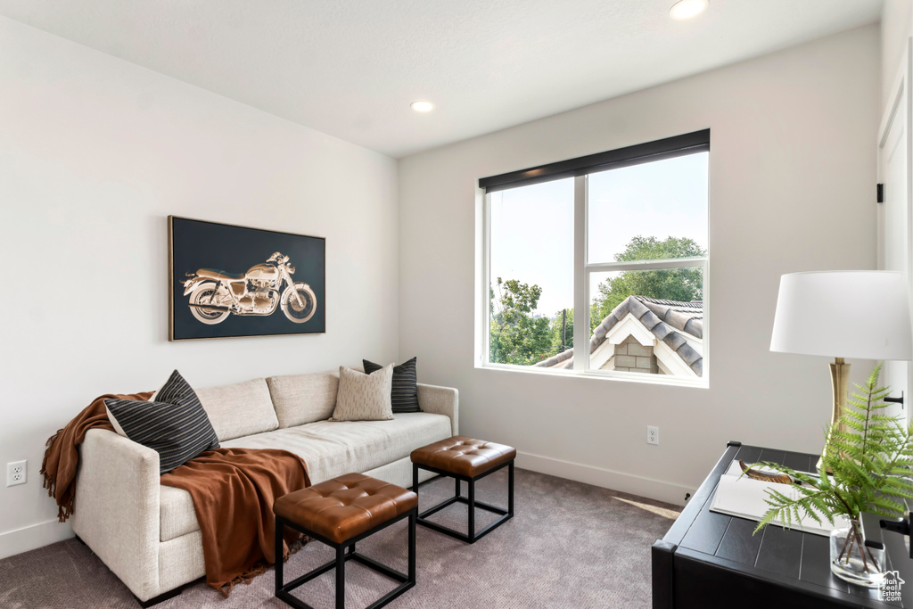 Living area with baseboards, carpet, and recessed lighting