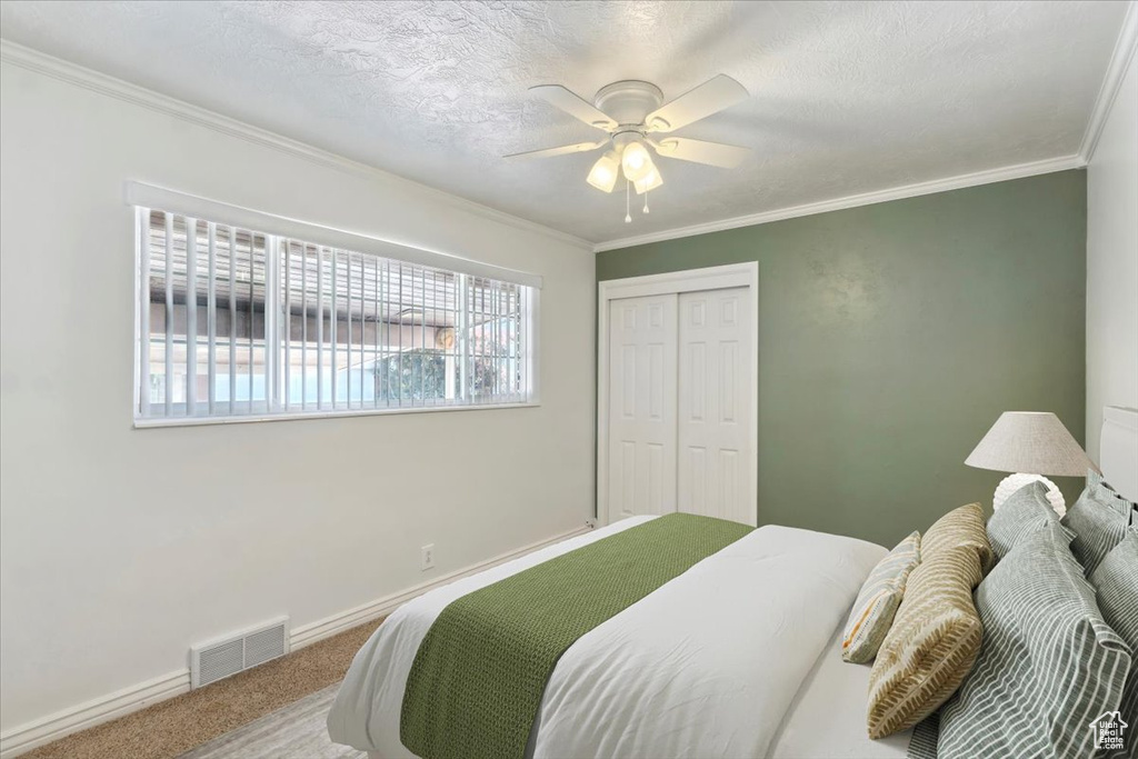 Carpeted bedroom featuring crown molding, a closet, baseboards, ceiling fan, and a textured ceiling