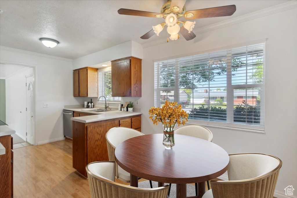 Kitchen featuring dishwasher, a sink, light countertops, healthy amount of natural light, and ornamental molding