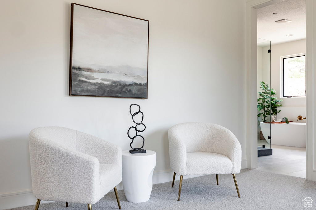 Sitting room featuring carpet floors