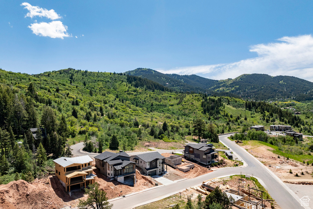 Bird's eye view of a heavily wooded area and a mountainous background