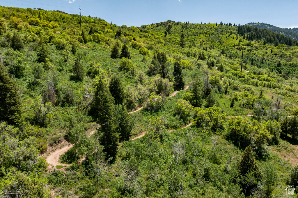 View of mountain background with a forest