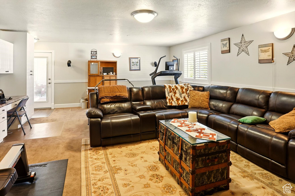 Living room featuring a textured ceiling and light carpet