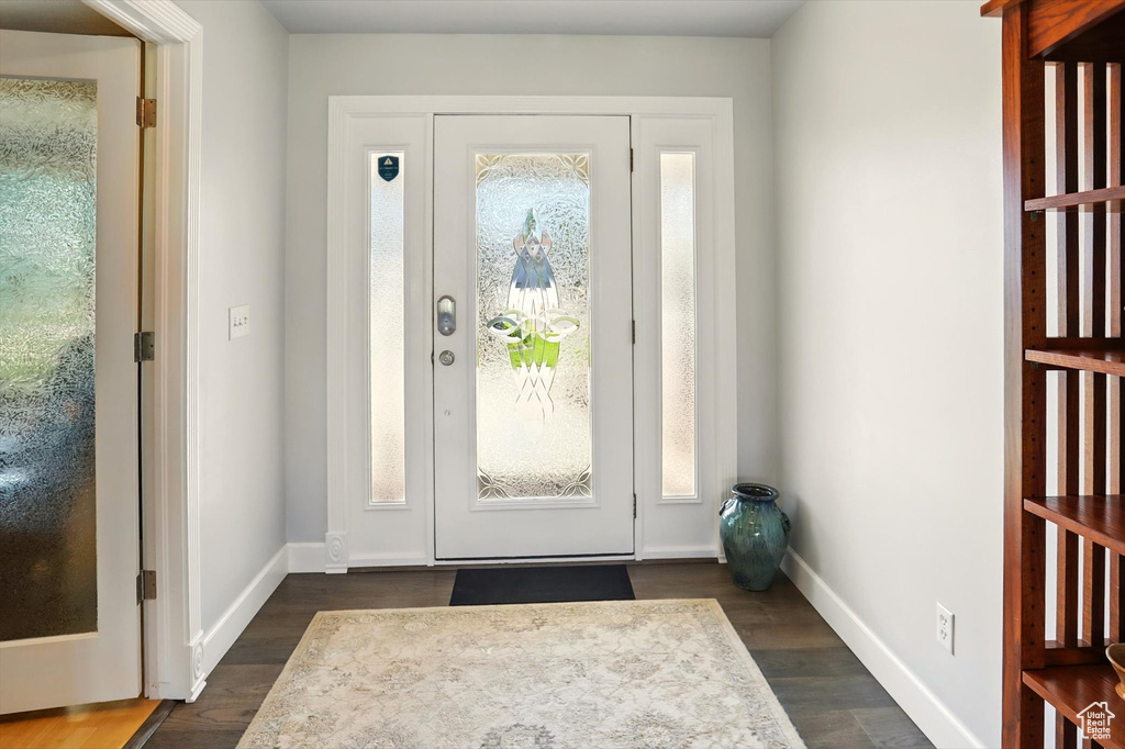Entryway featuring dark wood finished floors, healthy amount of natural light, and baseboards
