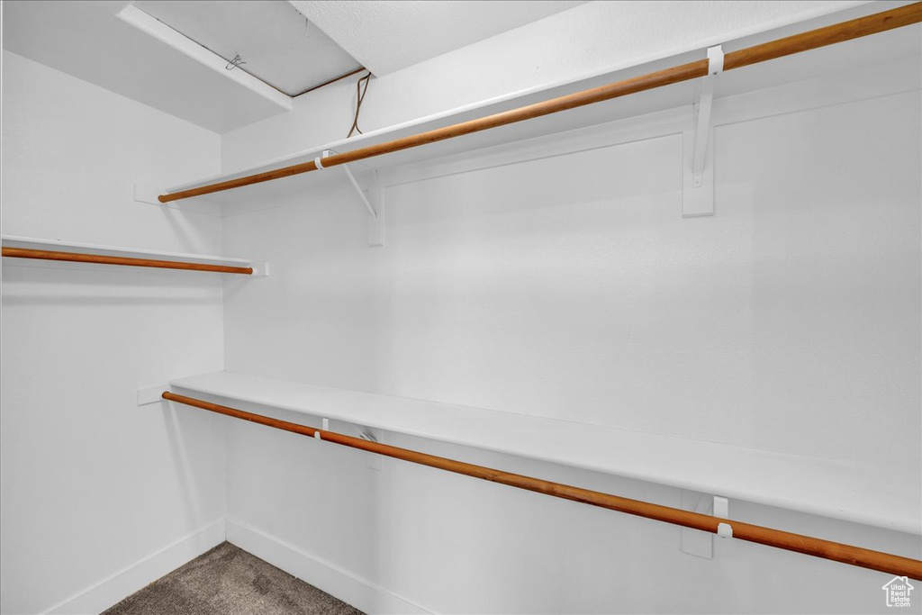 Walk in closet with carpet flooring