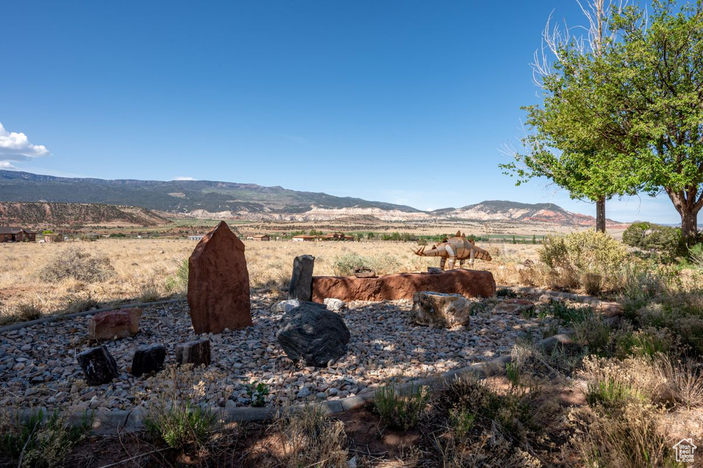 View of yard with a mountain view and a rural view