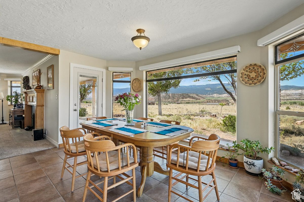 Dining area featuring a mountain view, baseboards, and a textured ceiling